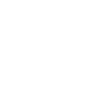 Boy Scouts