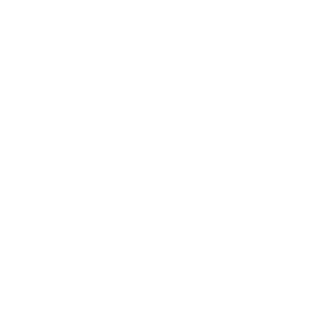 Boy Scouts
